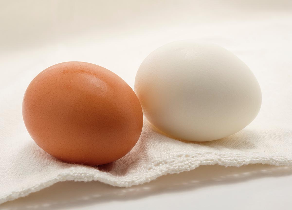  دراسة تكشف تأثير تناول بيضة واحدة في اليوم على صحتك